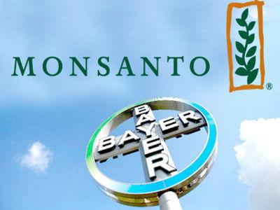 GMO (ne) ulazi na velika vrata u Evropu?