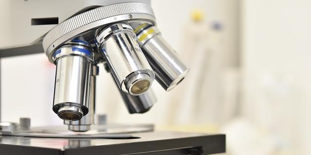 naučnoistraživačke saradnja