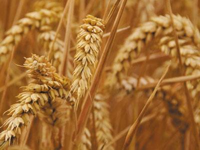 Za širenje grupe Axereal 38 milijuna eura