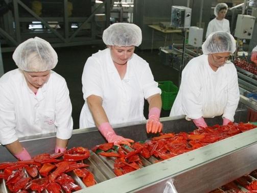 Ako sankcije potraju kompanije iz Unije će seliti proizvodnju u BiH