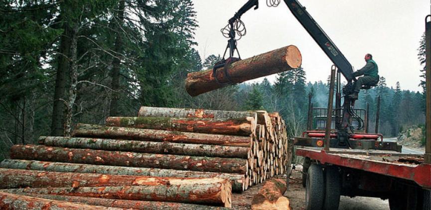 Najvećim drvoprerađivačima dugoročni ugovori i zagarantovane količine sirovina