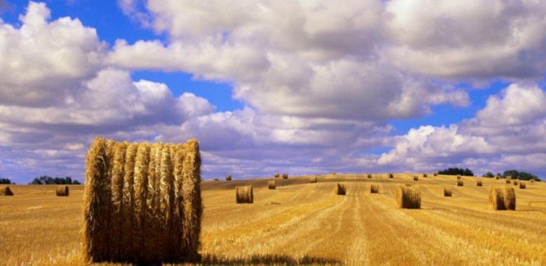 Izdvajanja za poljoprivredu TK povećana za oko 230.000 KM