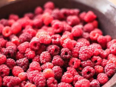 Objavljen poziv za povezivanje u lance vrijednosti i otkup maline
