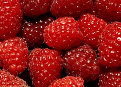 Izvoz svježe maline povećan za 320 posto