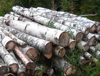 Pilane se zatvaraju zbog nedostatka sirovine, radnici ostaju bez posla