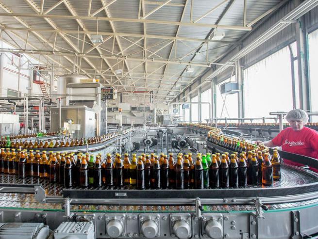 Pivari iz BiH traže pomoć države: Češće testirati uvozno pivo