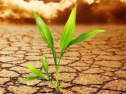 I BiH na raspolaganju fondovi za suzbijanje klimatskih promjena