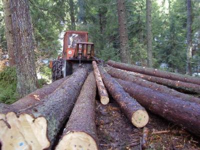 Zbog lošeg poslovanja smjena direktora osam šumskih gazdinstava