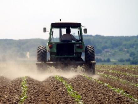 Poništen oglas za zakup poljoprivrednog zemljišta