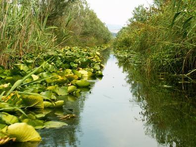 U Hutovu blatu od 10. do 14. ožujka ornitološki kamp