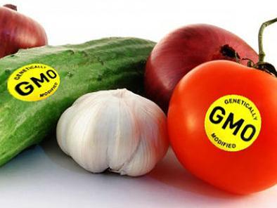 Bulić: Prehrambeni proizvodi moraju imati oznaku o sadržaju GMO