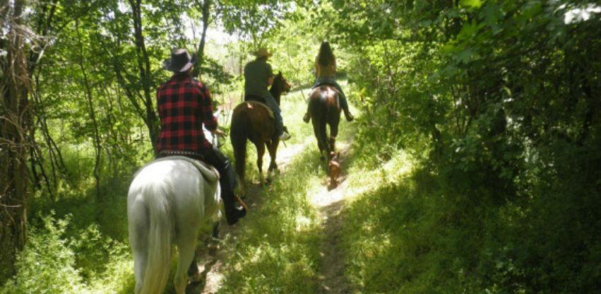 Počeo projekat uspostavljanja jahačkih staza od Vojvodine do BiH