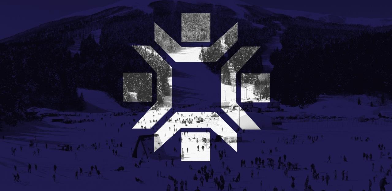zoi logo