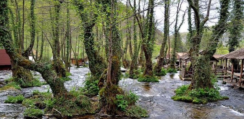 Prašuma Јanj uvrštena na UNESCO listu svjetske baštine