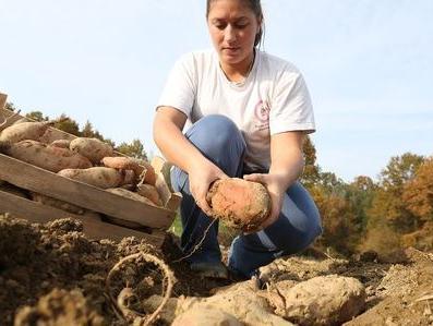Poljoprivrednici od 1. januara trebaju ažurirati podatke o gazdinstvima