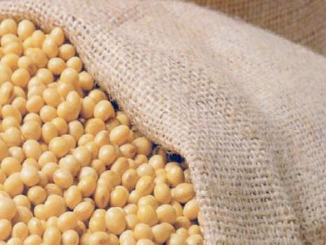 Naloženo uništavanje GMO soje na sedam parcela u RS