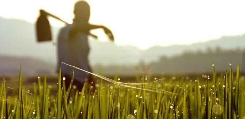 Budžet od 82 miliona eura: Otvoren Poziv za projekt "Ruralna renesansa"