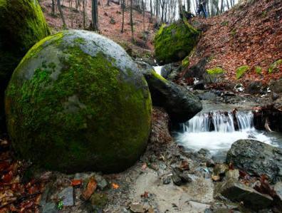 10 zanimljivih činjenica o BiH koje možda niste znali