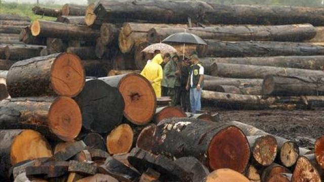 Finvest zatvoro kapije