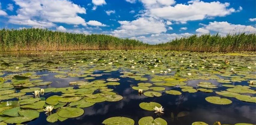 Europska komisija predstavila Strategiju EU-a za bioraznolikost do 2030.