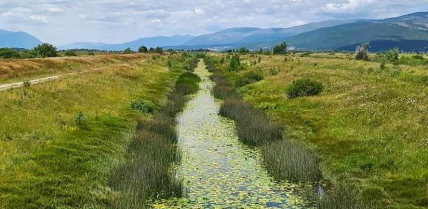 Sve manje autohtonih endemskih vrsta u Livanjskom polju i Buškom jezeru