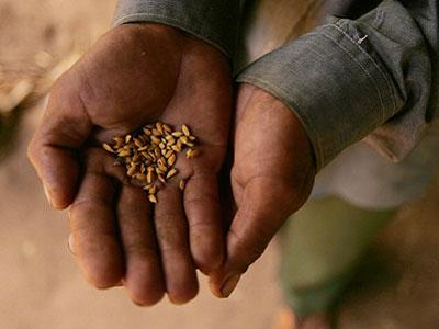 Mjesec intenzivnog DNA testiranja hrana u EU