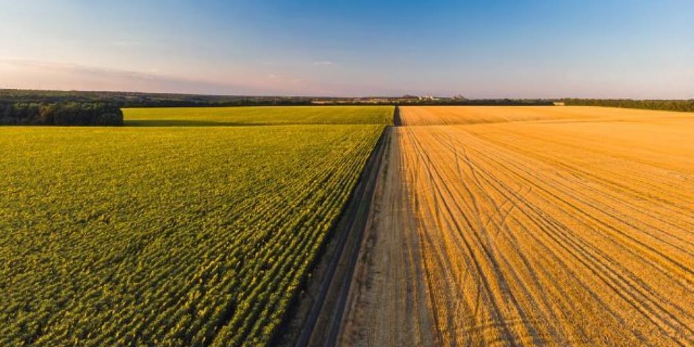 poljoprivredno zemljiste
