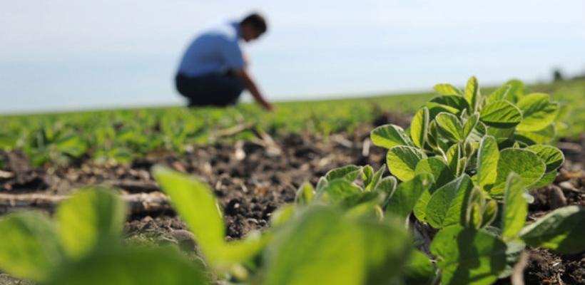 BiH i Kina jačaju saradnju u oblasti poljoprivede i ruralnog razvoja