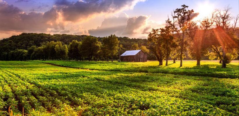 Usvajanjem strategije ruralnog razvoja BiH dobija znatna sredstva