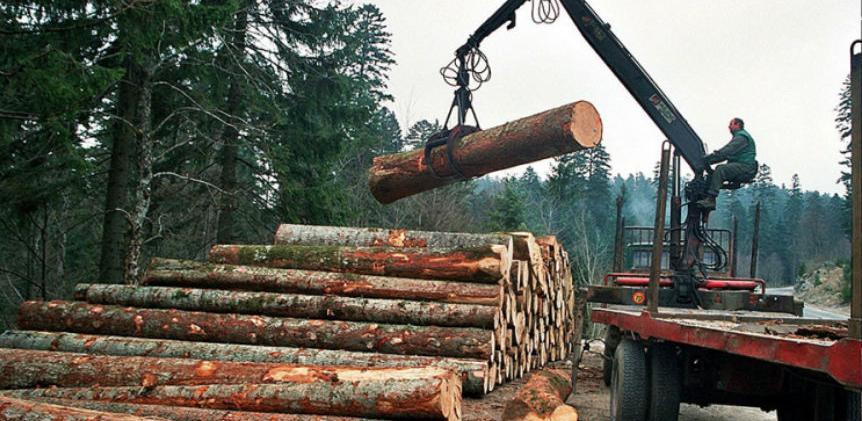 FBiH: Smanjena prodaja šumskih sortimenata za 11 posto