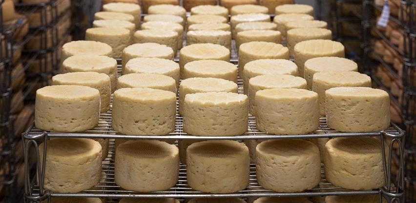 Eksperimentalna proizvodnja: Počela s radom mljekara ZZ Brka