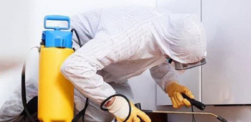 Važno je znati - dezinfekcija, dezinsekcija i deratizacija kao preventivne mjere