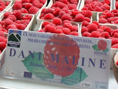 Dani maline u Bratuncu: Malinari RS konkurentni i na evropskom tržištu