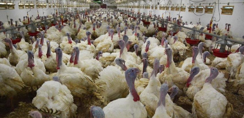 Na prodaji još jedan dio imovine nekadašnjeg giganta Agrokomerca