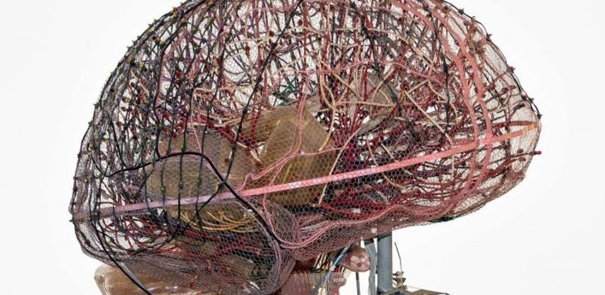 U Beču izložba o robotici i umjetnoj inteligenciji