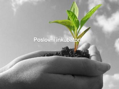 Potrebna sustavna podrška modelu poslovnih inkubatora u BIH