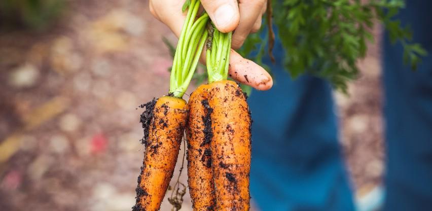 Ambiciozni planovi EU za rast organske proizvodnje i potrošnje