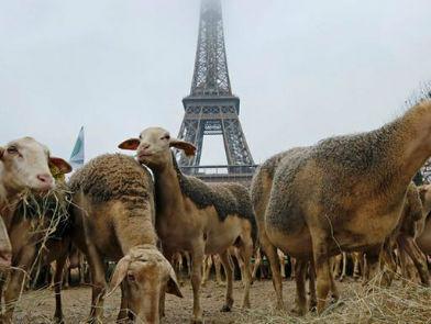 Jesu li u Europi doista svi jednaki?
