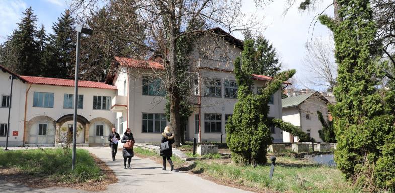 vila braun