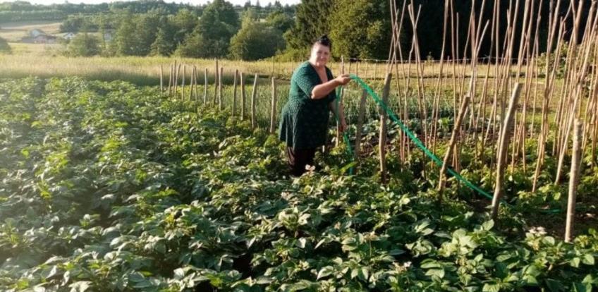 Bugojanka se nakon teškog perioda okrenula poljoprivredi: Treba biti optimist