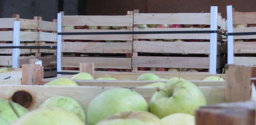 'Fruct Company' iz Bijeljine izbrisan sa liste izvoznika za Rusiju