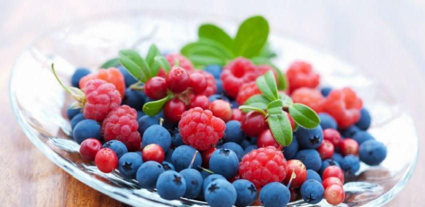 Kampanjom promocije do veće prodaje maline na domaćem tržištu
