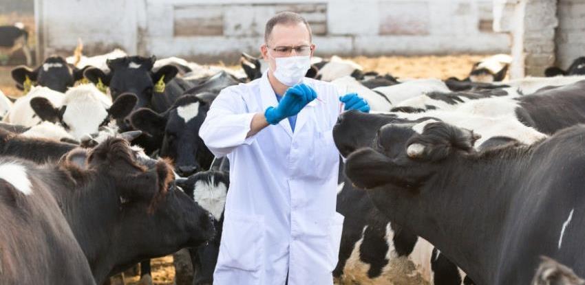 kancelarija za veterinarstvo