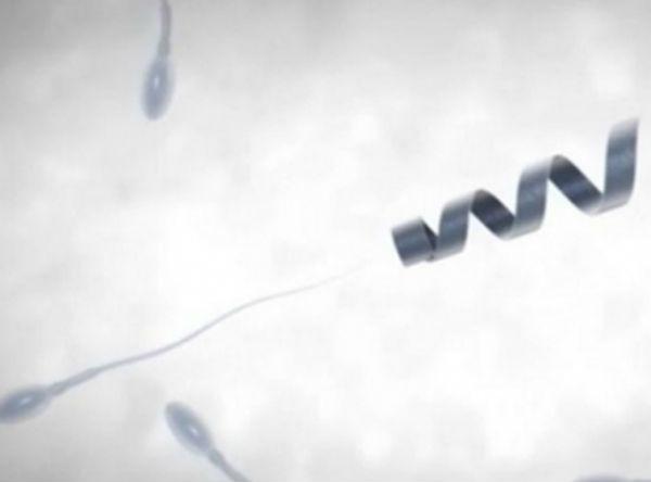 Uspješno testirani roboti za navođenje spermatozoida
