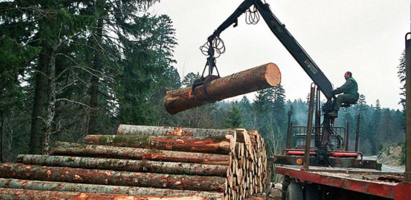 Inicijativa: Zabrana izvoza sirovine i takse na ogrev i građu