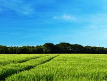 Poticaji za Programe razvoja ruralne konkurentnosti