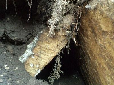 U Tomislavgradu pronađeno ilirsko groblje