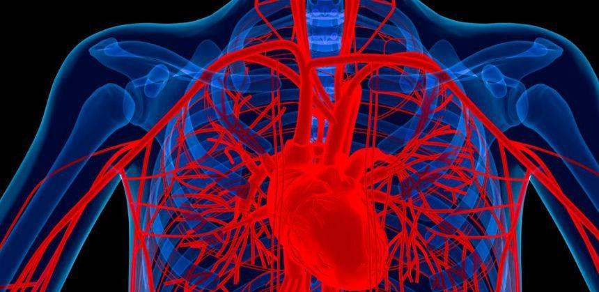Nakon prestanka pušenja srcu treba 15 godina da se oporavi