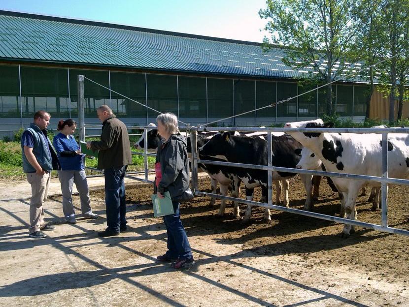 Milkos: Nove štete na farmi "Spreča"