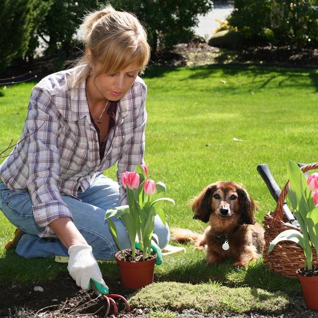 Vrtlarenje može smanjiti rizike pretilosti